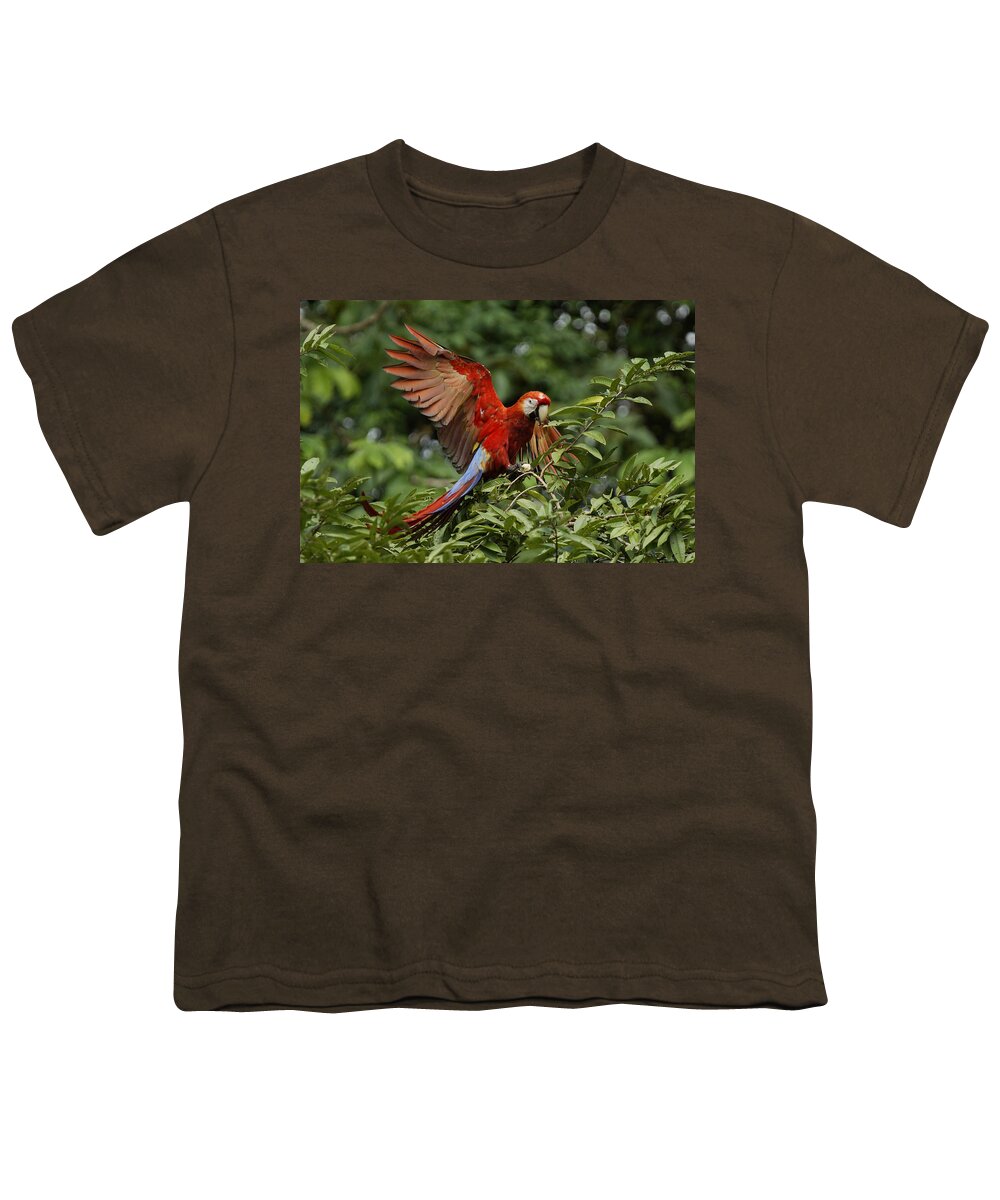 Feb0514 Youth T-Shirt featuring the photograph Scarlet Macaw Costa Rica by Hiroya Minakuchi