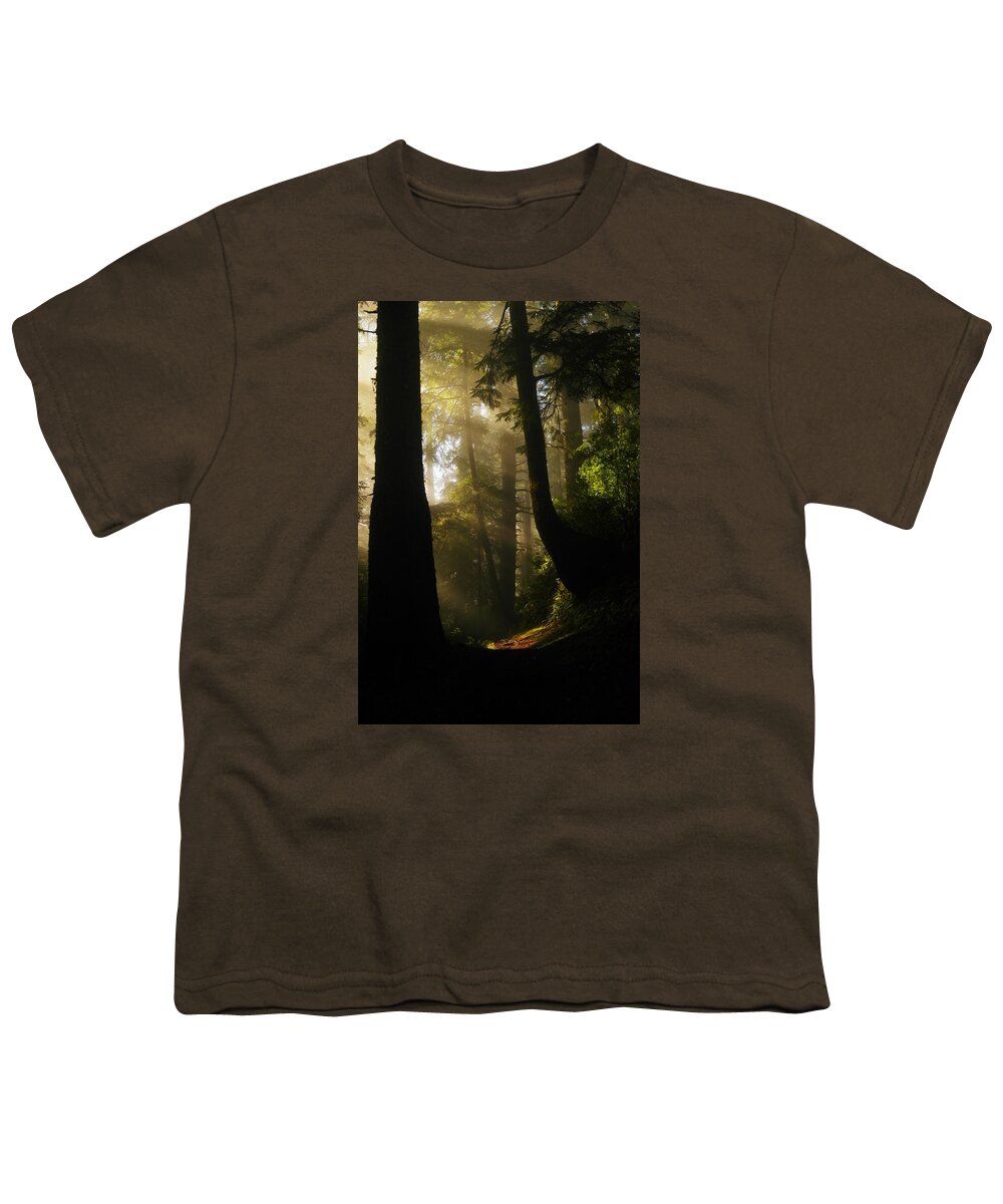 Trees Youth T-Shirt featuring the photograph Shadow Dreams by Jeff Swan
