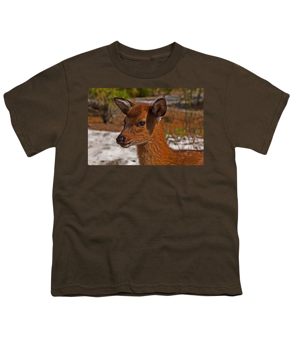 Assateague Island Youth T-Shirt featuring the photograph Sika Deer Fawn at Assateague Island National Seashore by Bill Swartwout