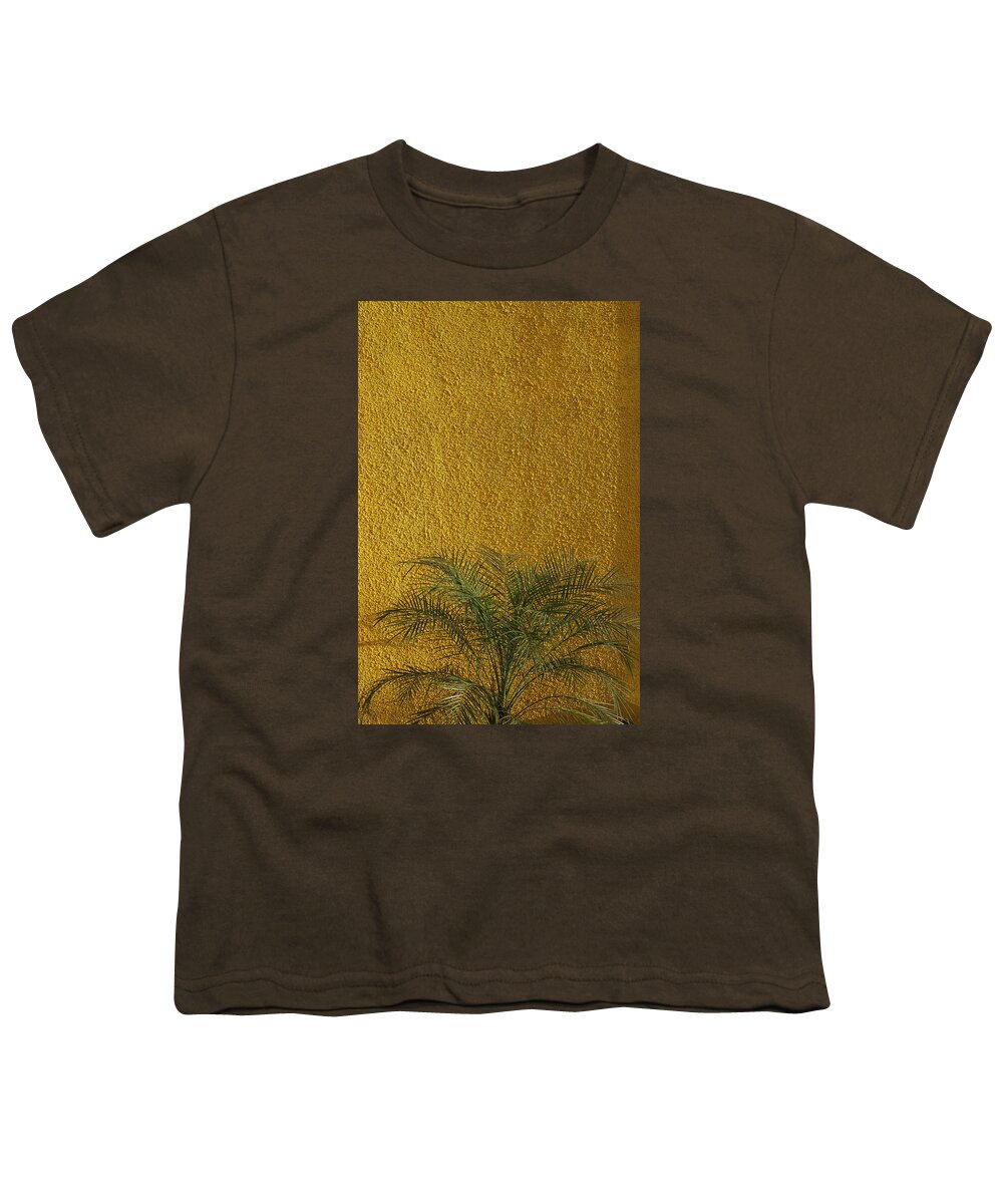 Abstract Youth T-Shirt featuring the photograph SKC 1243 Colour and Texture by Sunil Kapadia