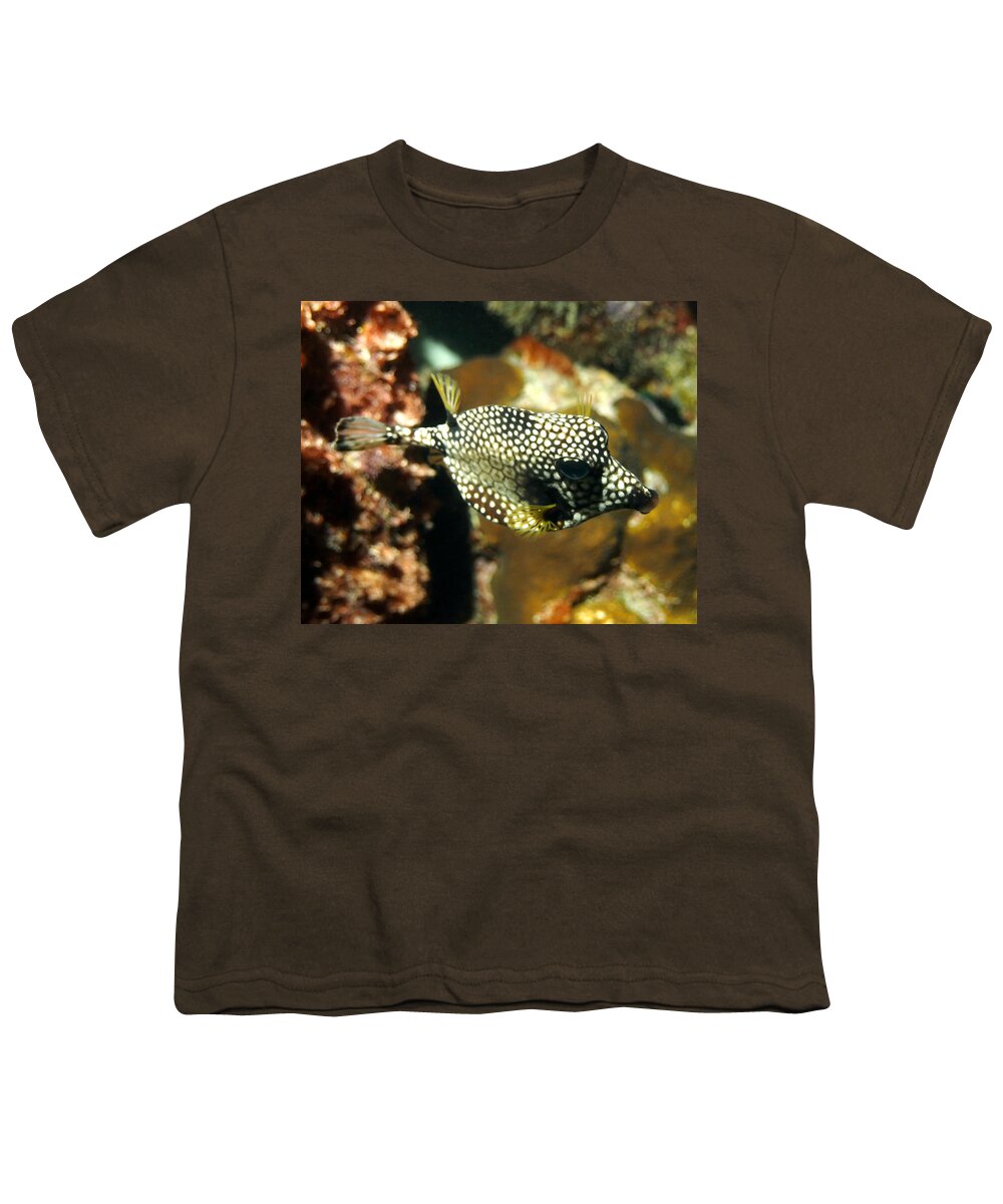Nature Youth T-Shirt featuring the photograph Smooth Trunkfish by Amy McDaniel