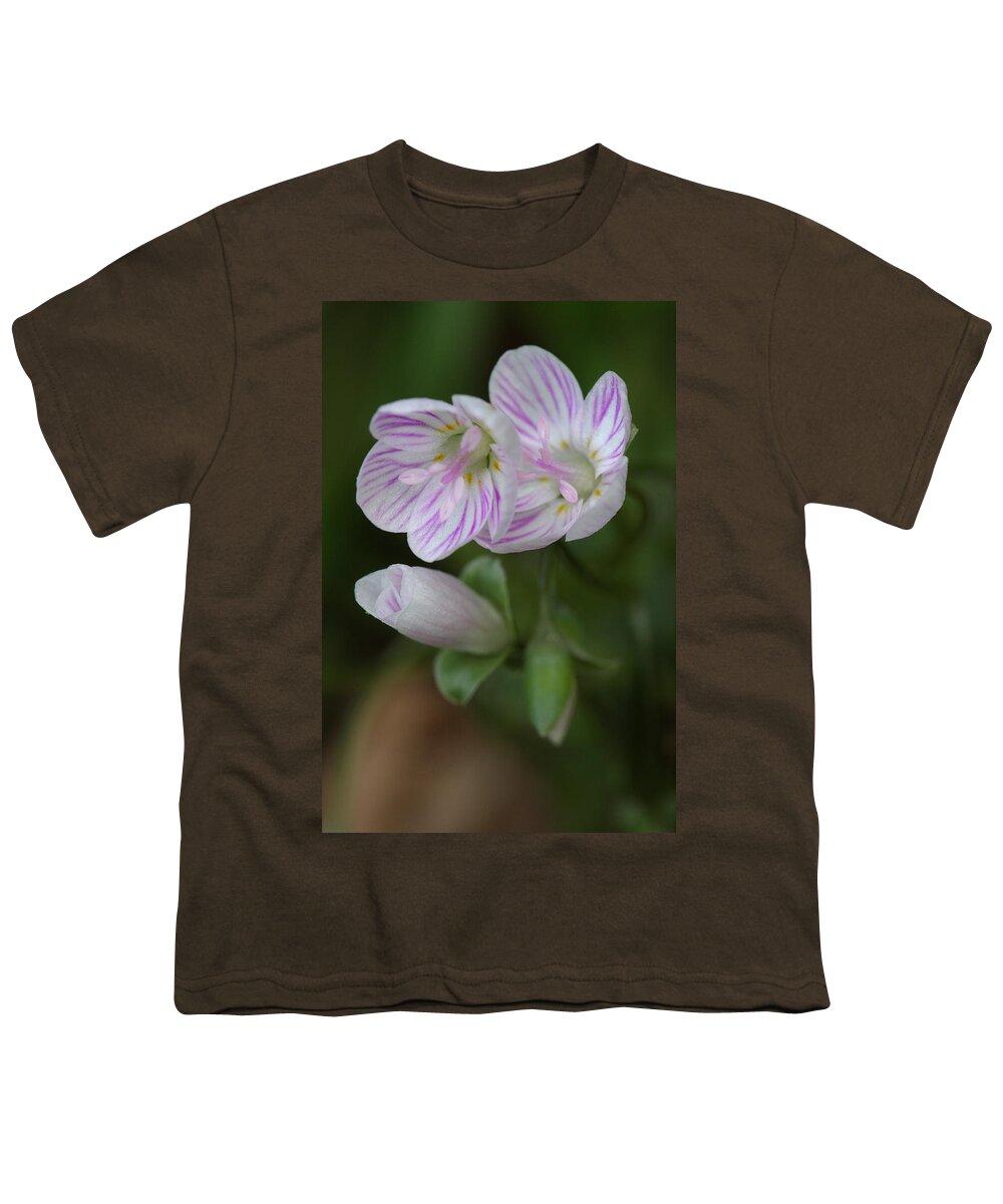 Spring Beauty Youth T-Shirt featuring the photograph Spring Beauty by Daniel Reed