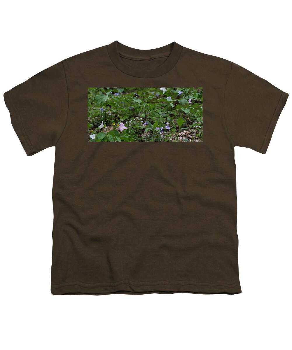 Spring Wildflowers Along Panther Branch Trail Youth T-Shirt featuring the photograph Spring Wildflowers Along Panther Branch Trail Frozen Head Tennessee State Park Tennessee by Daniel Reed
