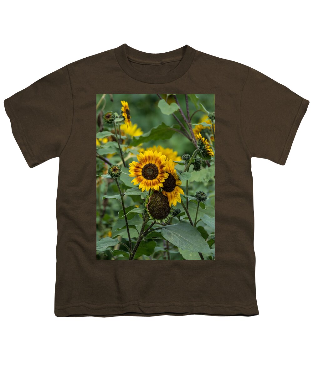 Flowers Youth T-Shirt featuring the photograph Striped Sunflower by Guy Whiteley