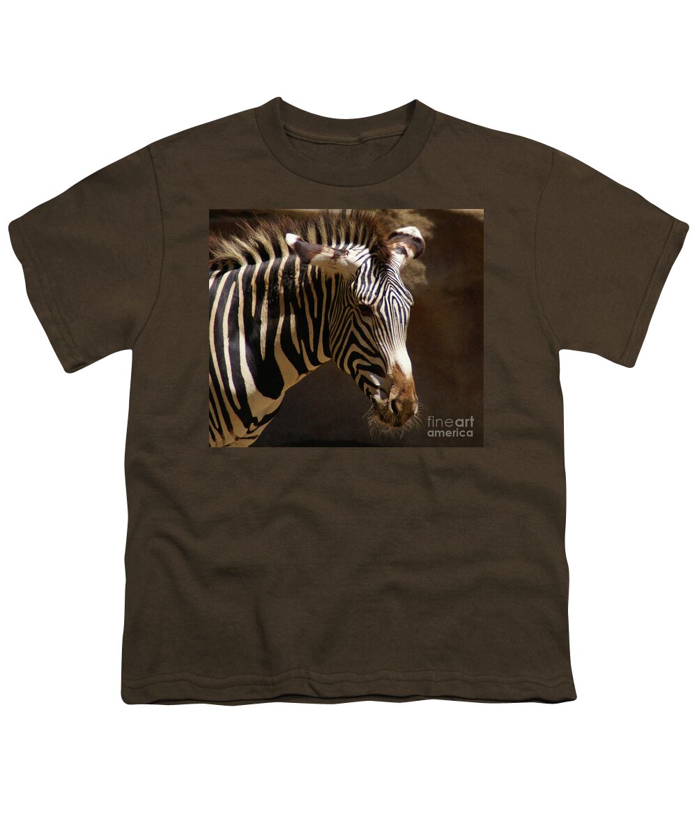 Zebra Youth T-Shirt featuring the photograph Sunlit Stripes by Linda Shafer