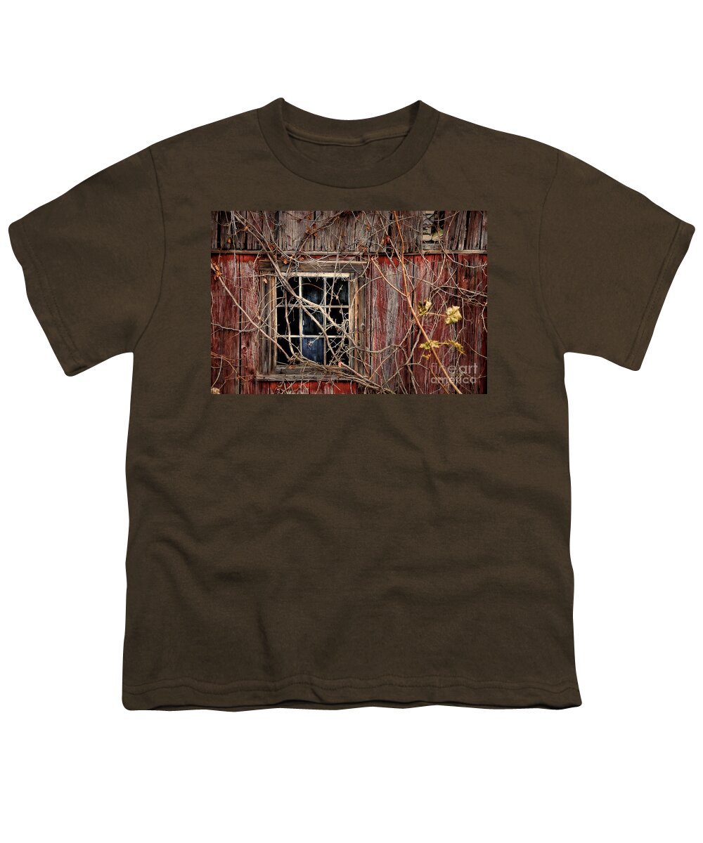 Barn Youth T-Shirt featuring the photograph Tangled Up In Time by Lois Bryan