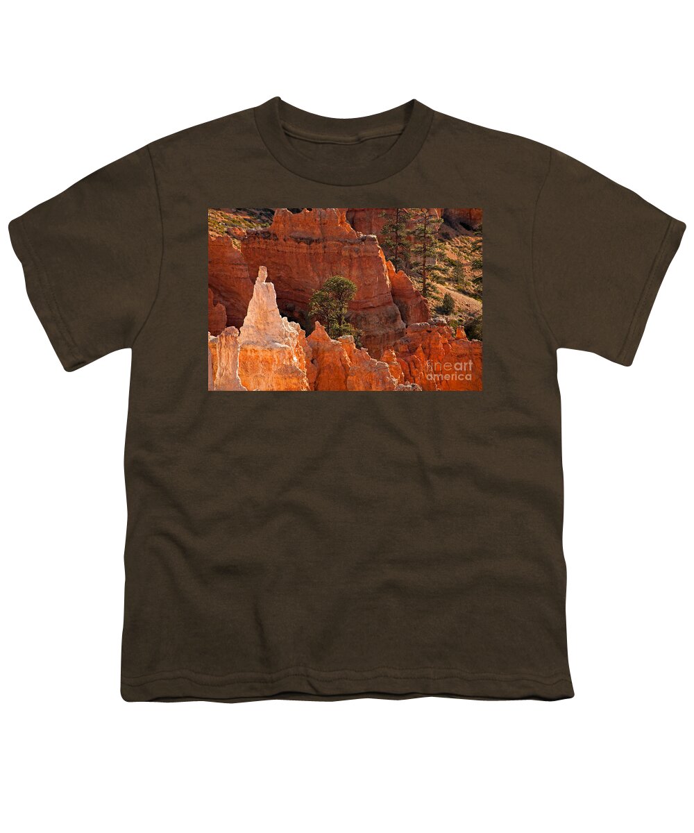 Bryce Canyon Youth T-Shirt featuring the photograph The PopeSunrise Point Bryce Canyon National Park by Fred Stearns