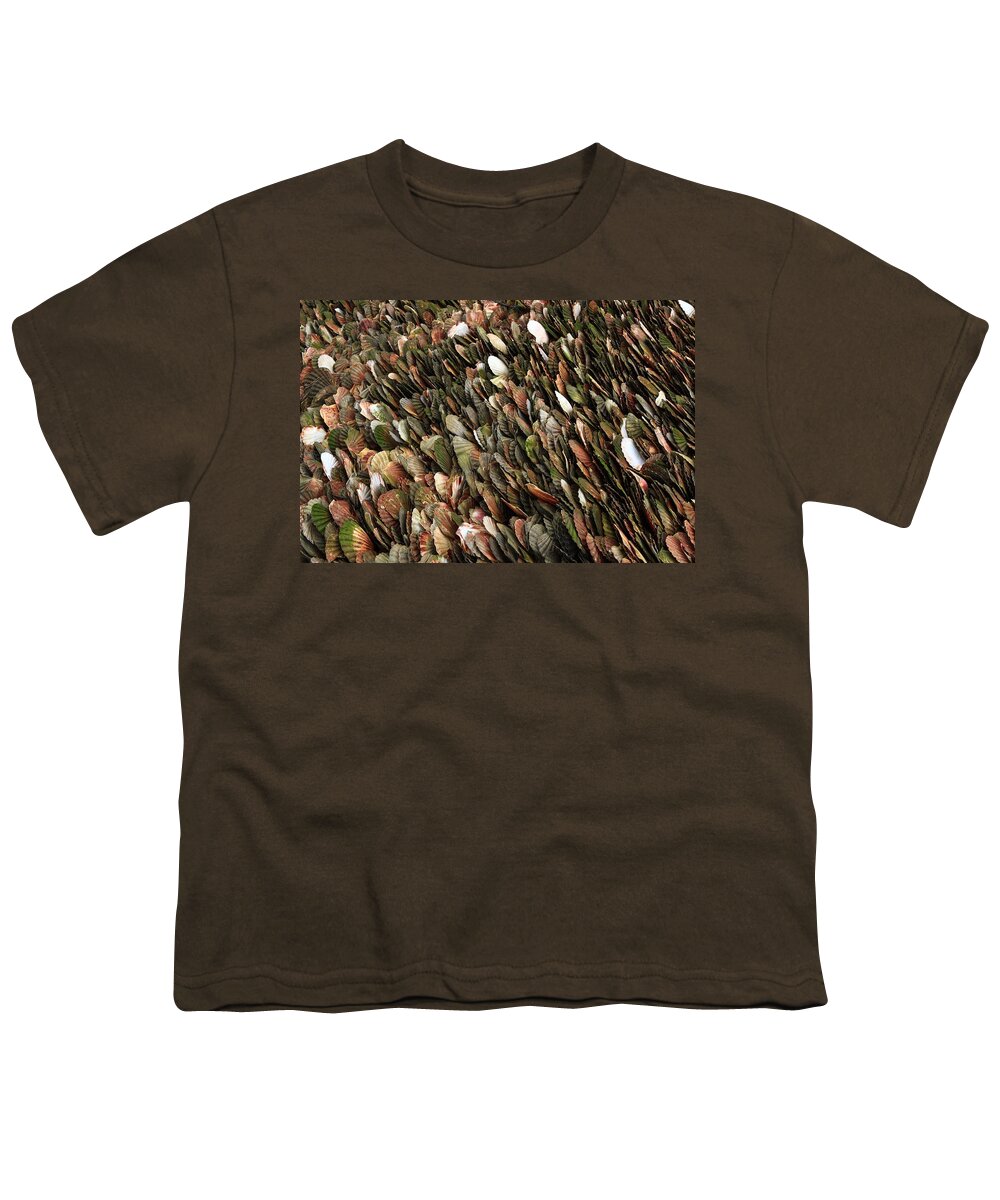 Shells Youth T-Shirt featuring the photograph Tightly Packed Seashells by Aidan Moran