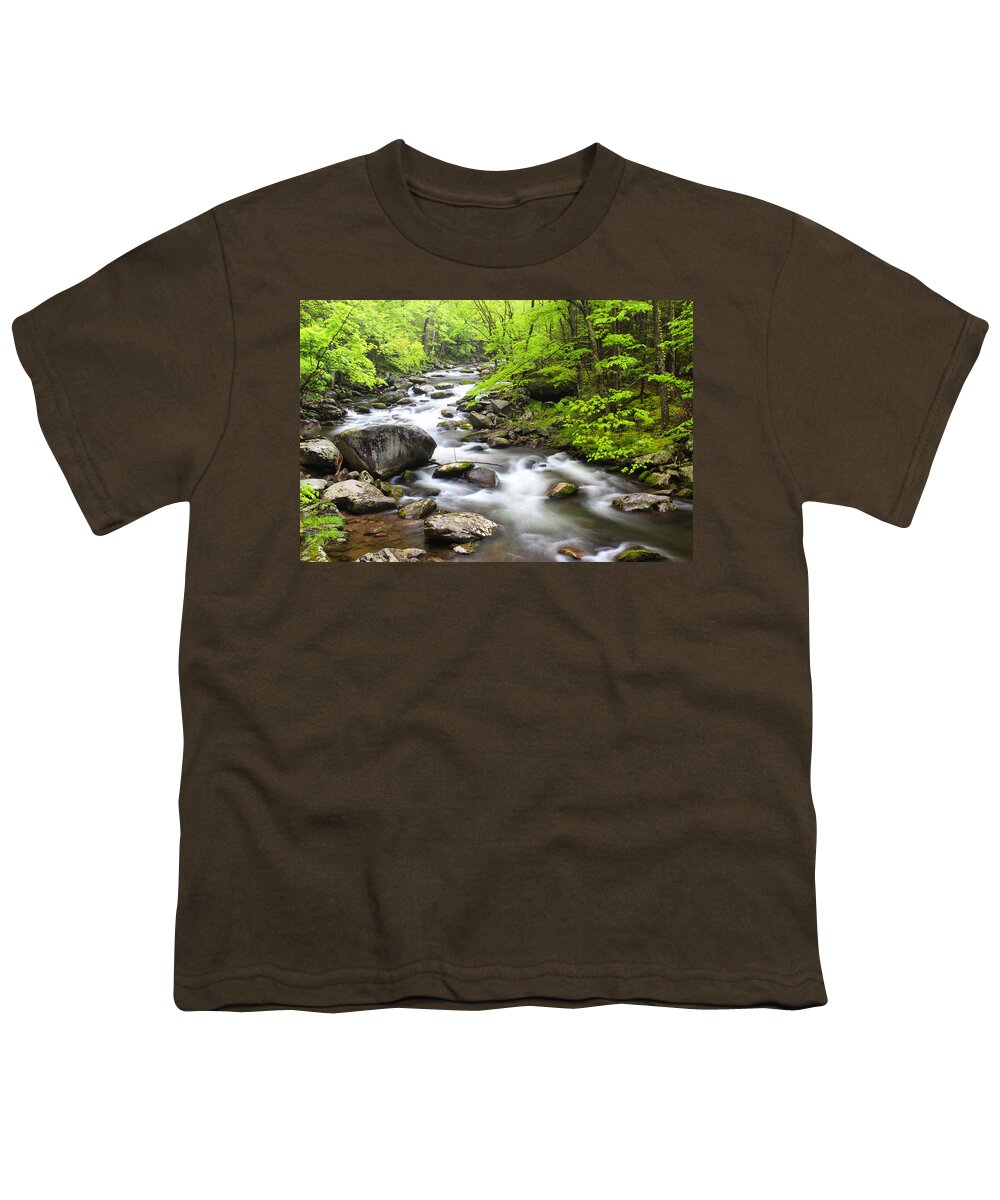 Great Smoky Mountain National Park Youth T-Shirt featuring the photograph Tremont Spring - Great Smoky Mountains by Nancy Dunivin