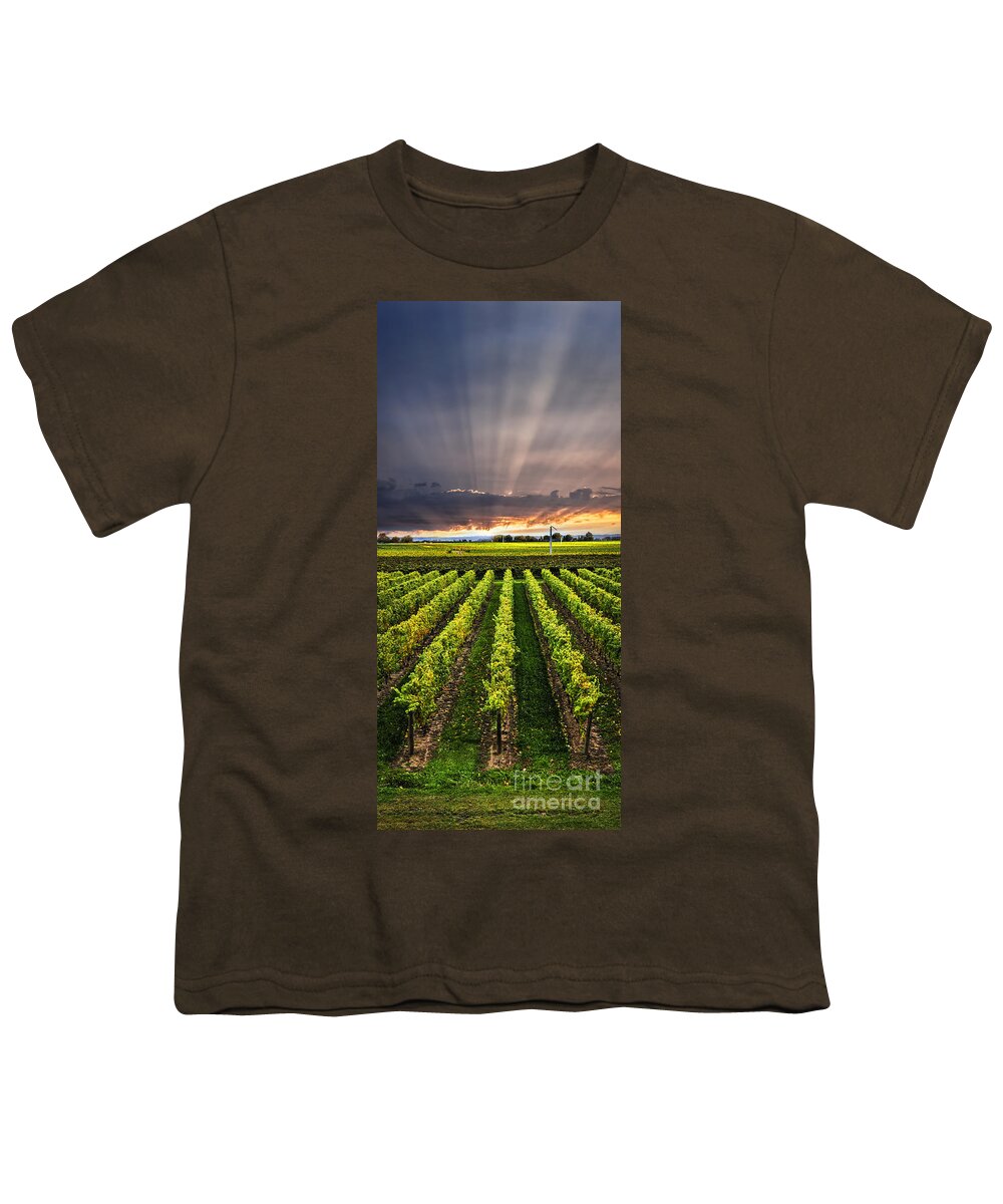Vineyard Youth T-Shirt featuring the photograph Vineyard and sunset sky by Elena Elisseeva