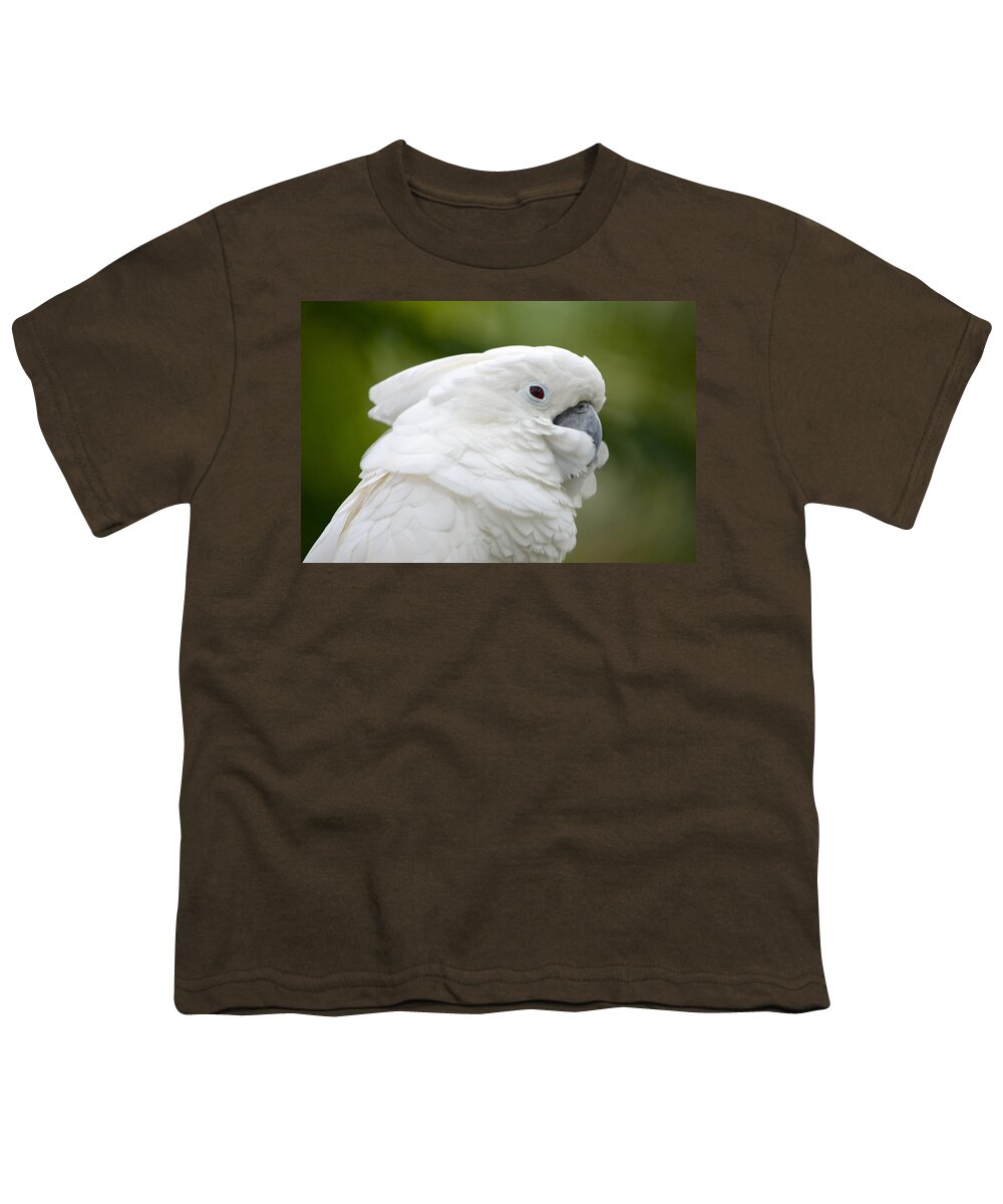 St. Augustine Youth T-Shirt featuring the photograph White Cockatoo Profile by Richard Bryce and Family