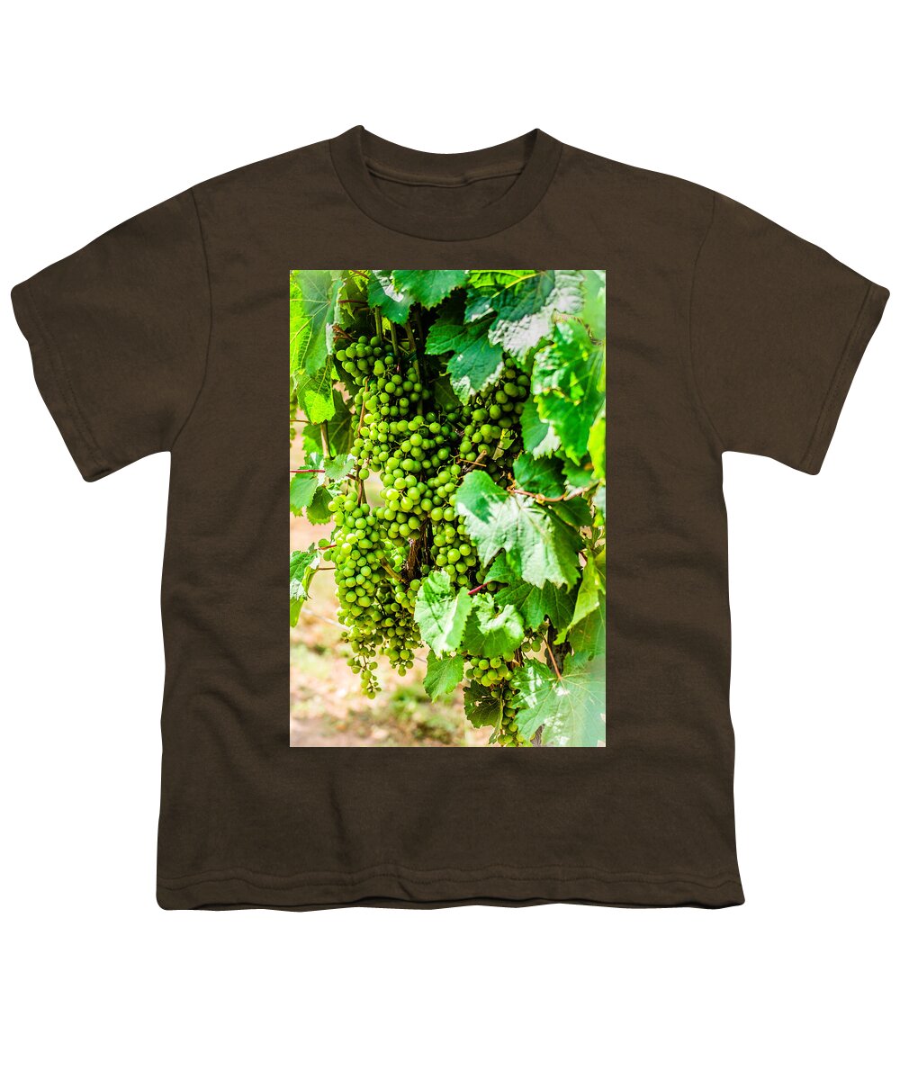 Wine Youth T-Shirt featuring the photograph Wine Grapes by David Morefield