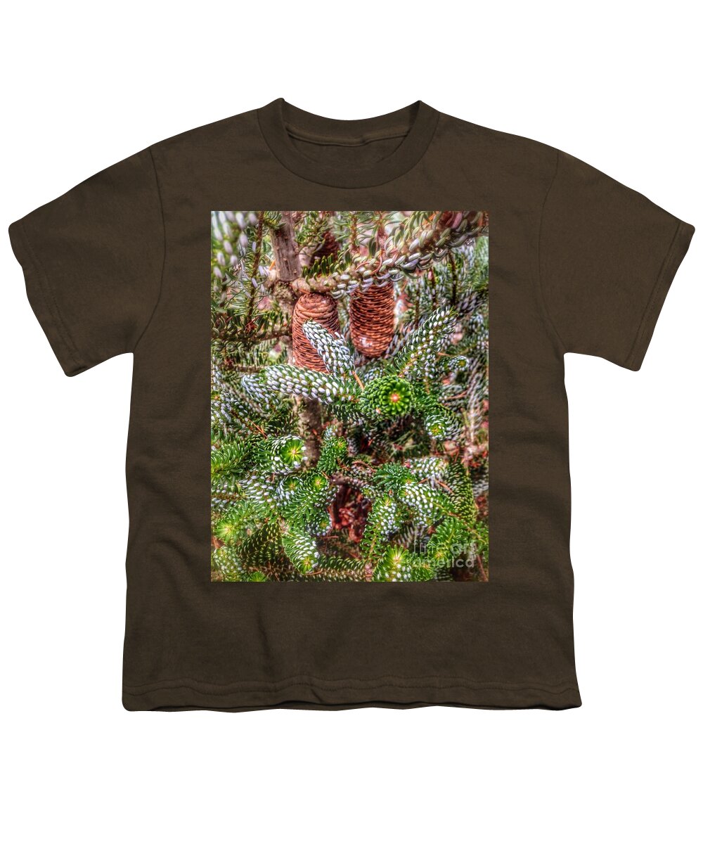 Winter Pine Youth T-Shirt featuring the photograph Winter Pine  by Susan Garren