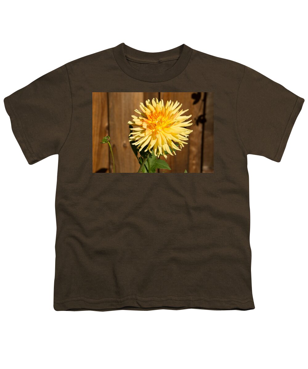 Yellow Youth T-Shirt featuring the photograph Yellow Dahlia by Weir Here And There