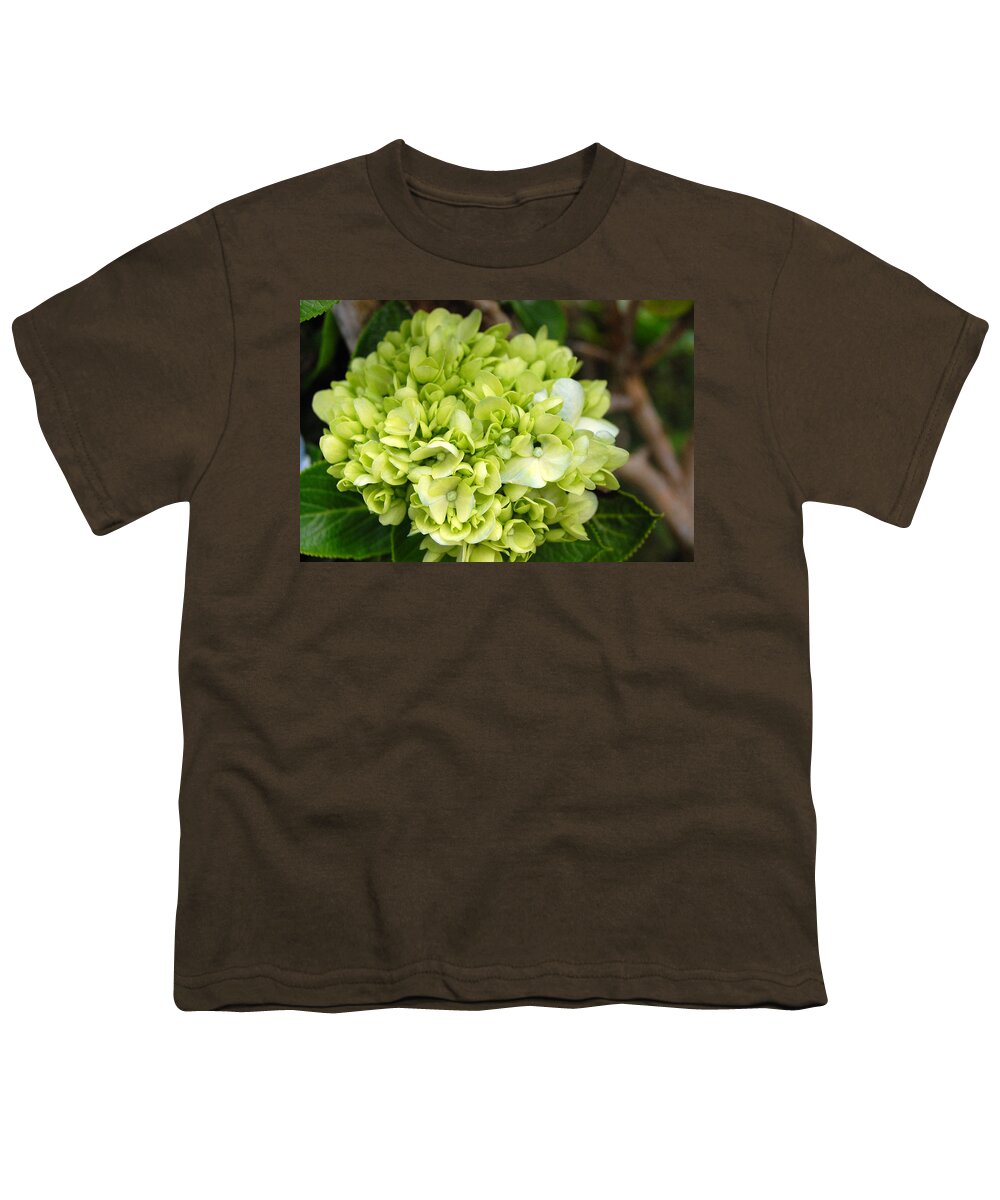 Flower Youth T-Shirt featuring the photograph Yellow Hydrangeas by Amy Fose