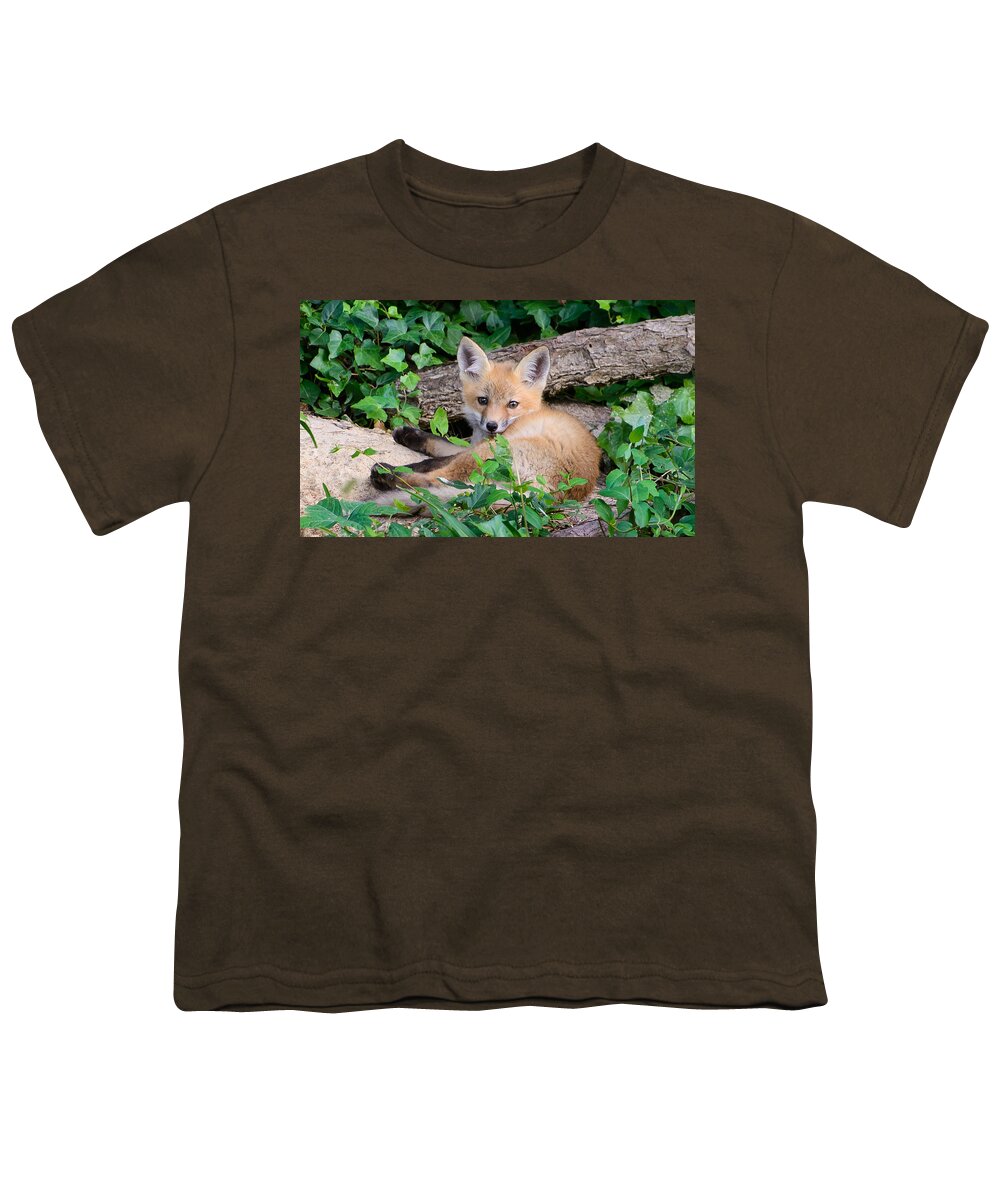 Young Youth T-Shirt featuring the photograph Naptime by Stacy Abbott