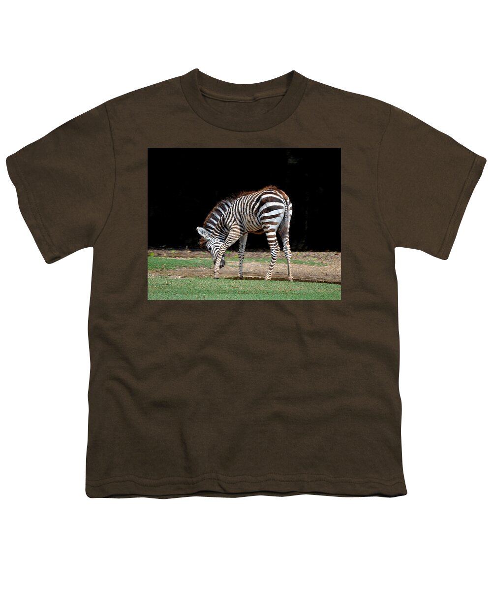 Zebra Youth T-Shirt featuring the photograph Zebra Scratch by Maggy Marsh
