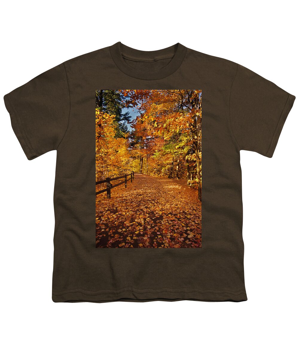 Fall Youth T-Shirt featuring the photograph Golden Path by Ron Weathers