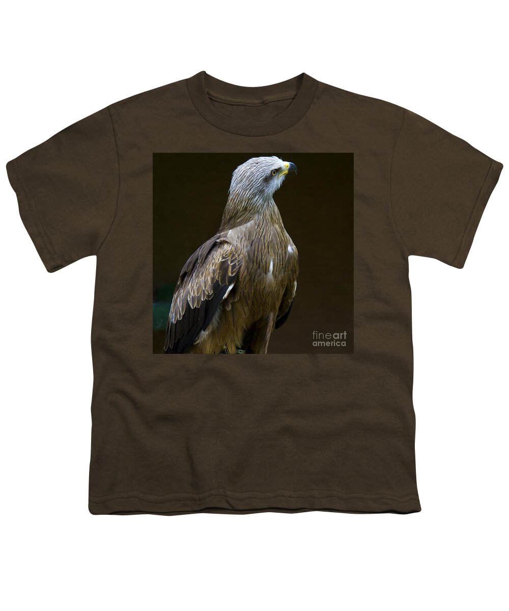 Heiko Youth T-Shirt featuring the photograph Black Kite 1 #1 by Heiko Koehrer-Wagner