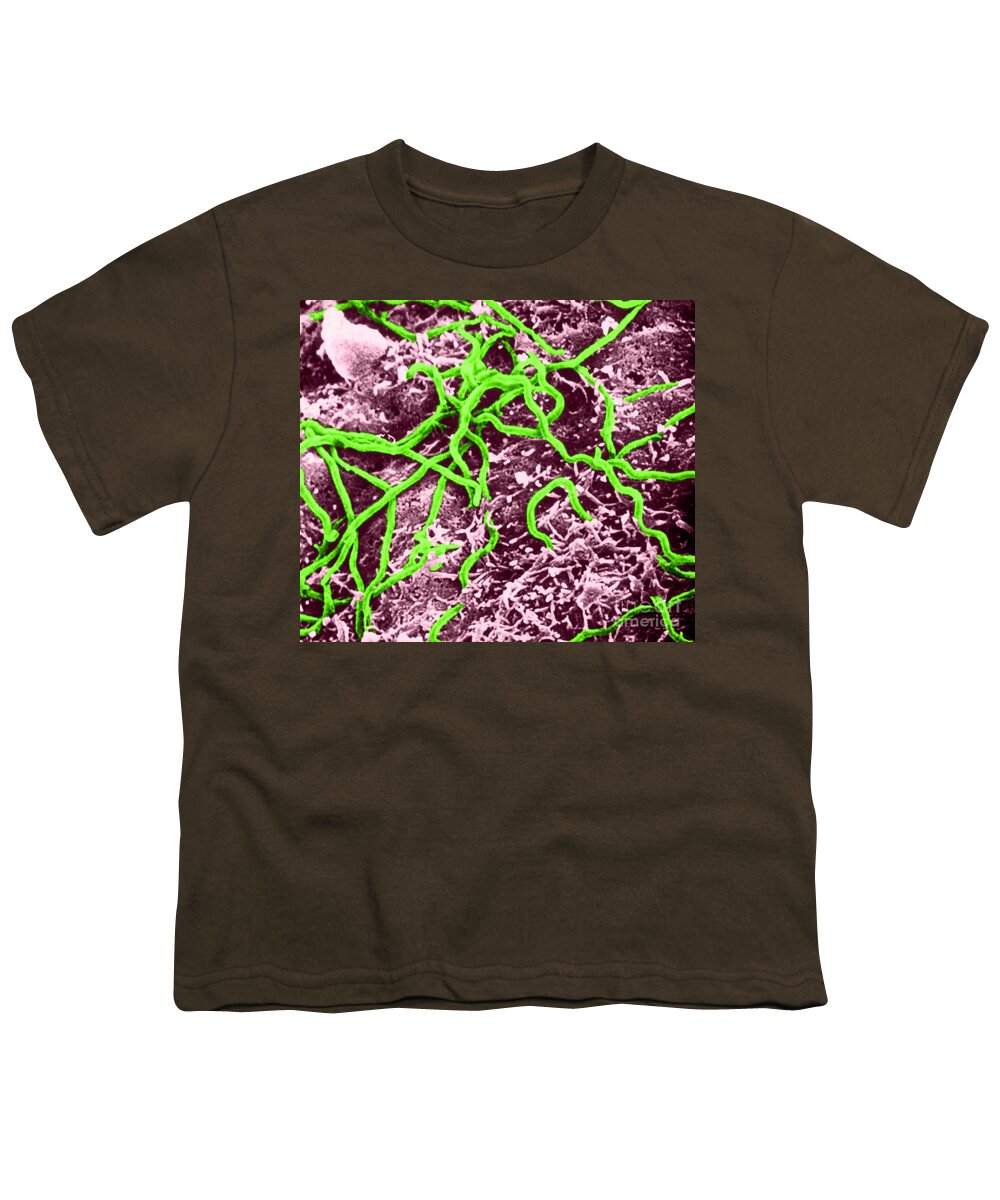 Micrograph Youth T-Shirt featuring the photograph Borrelia Burgdorferi #2 by Science Source