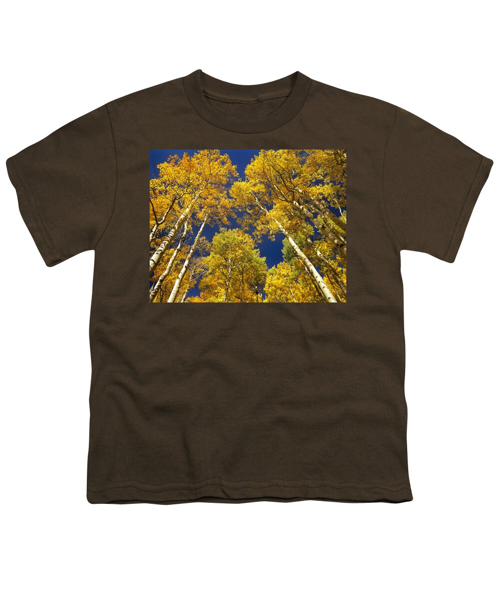 00175663 Youth T-Shirt featuring the photograph Quaking Aspen Grove In Fall Colors #2 by Tim Fitzharris