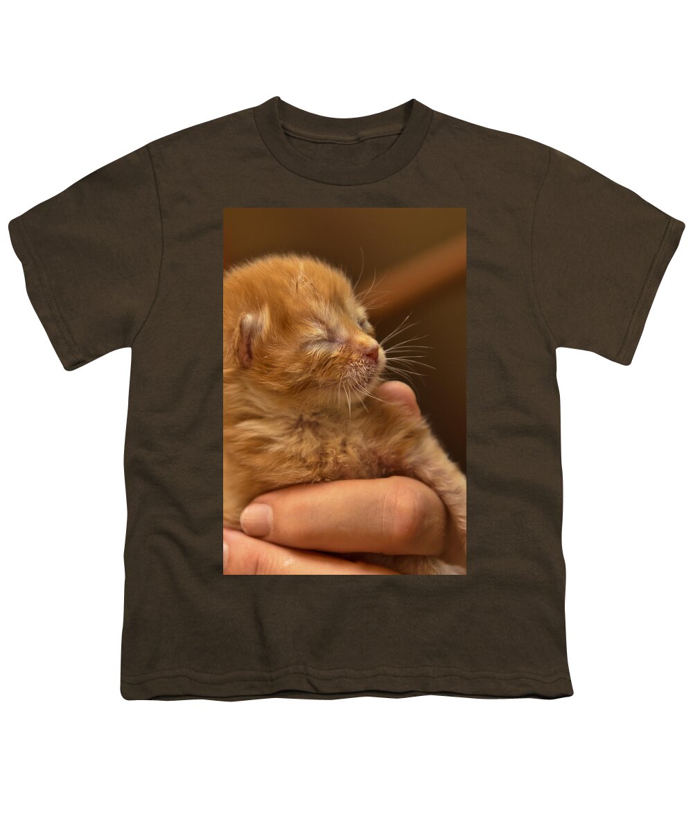 Animal Youth T-Shirt featuring the photograph Kitty #3 by Michael Goyberg