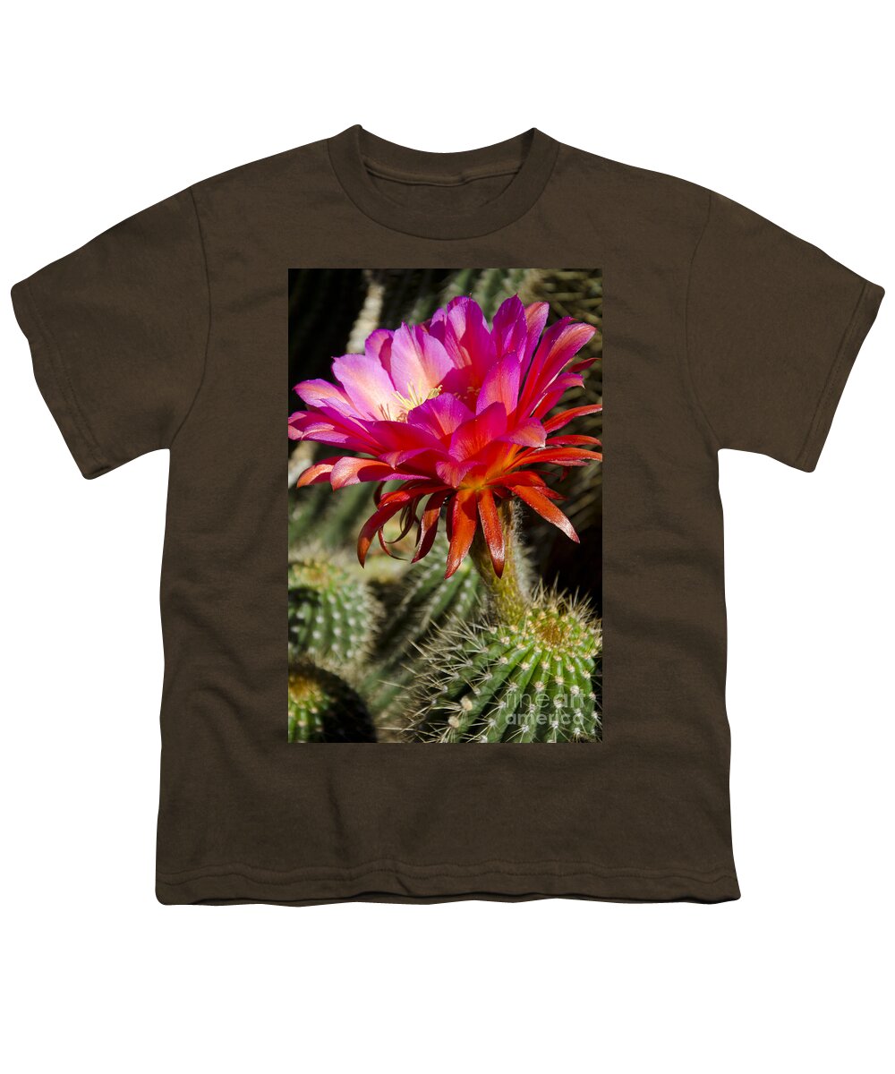 Red Youth T-Shirt featuring the photograph Dark pink cactus flower #5 by Jim And Emily Bush