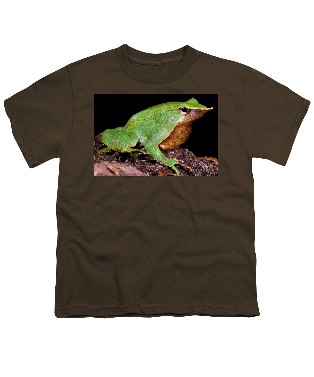 Darwin's Frogs Youth T-Shirt featuring the photograph Darwins Frog by Dante Fenolio