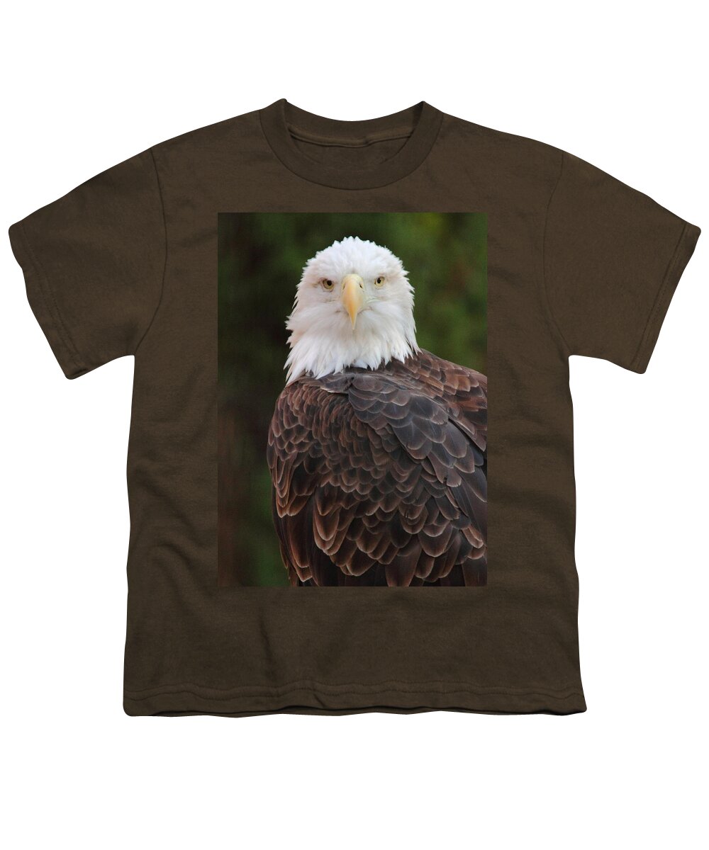 Bald Eagle Youth T-Shirt featuring the photograph Bald Eagle by Coby Cooper