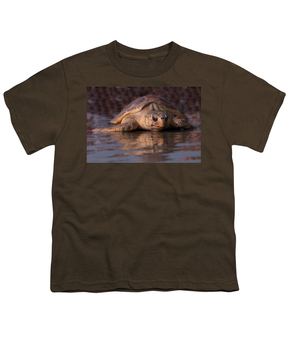 Sea Turtle Youth T-Shirt featuring the photograph Beaufort the Turtle by Susan Cliett