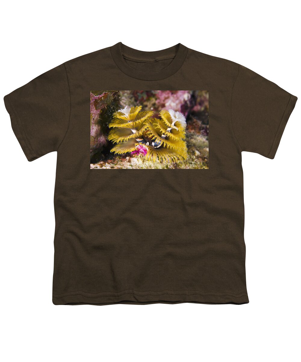 00462755 Youth T-Shirt featuring the photograph Christmas Tree Worm Bonaire by Pete Oxford