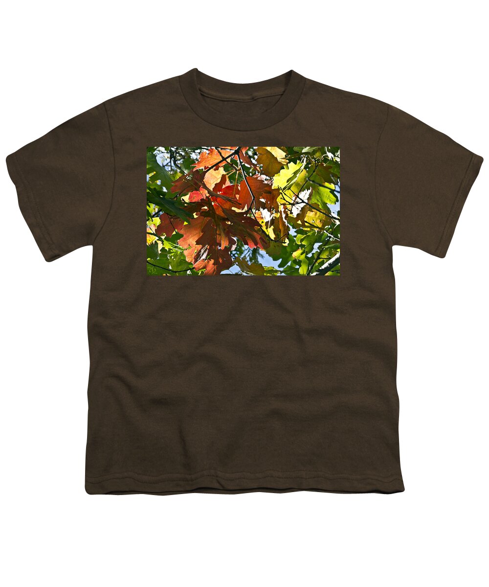 Colorado Youth T-Shirt featuring the photograph Colorado October by Angelina Tamez