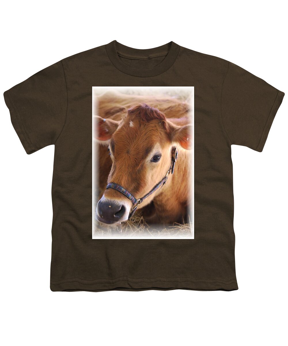 Cow Youth T-Shirt featuring the photograph Contentment by Judy Hall-Folde