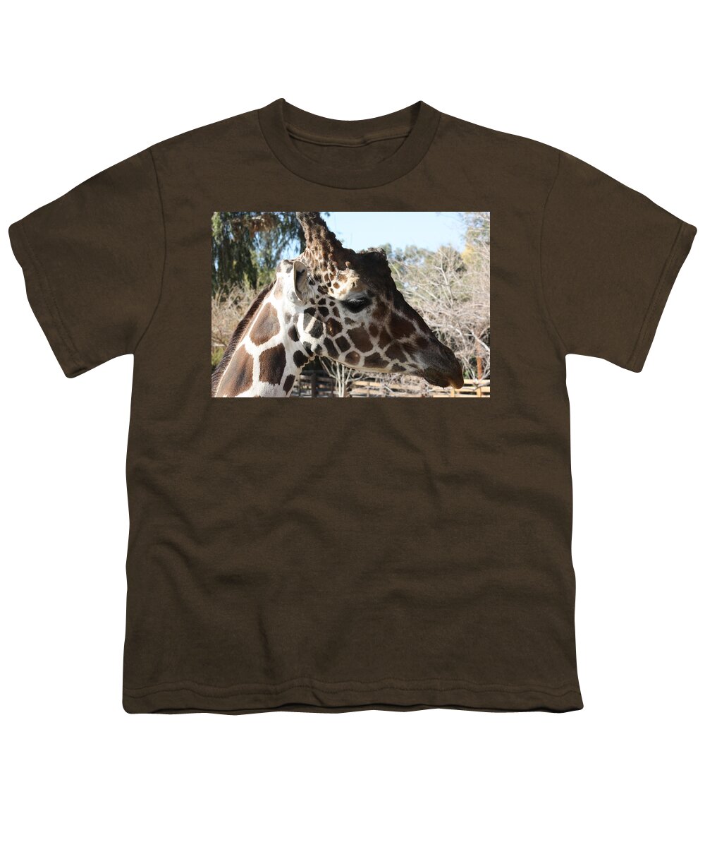 Giraffe Youth T-Shirt featuring the photograph Daddy Giraffe by Kim Galluzzo Wozniak