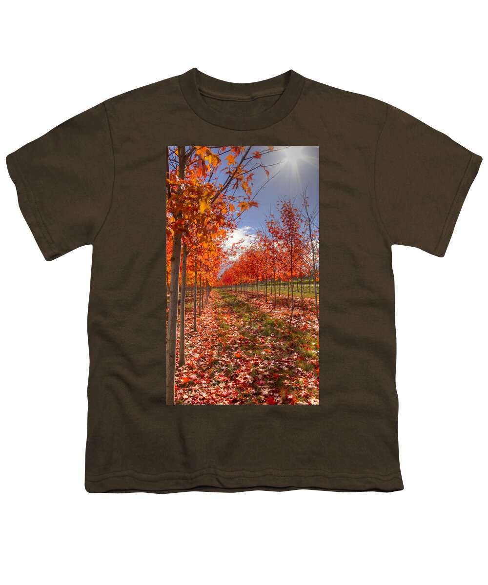 Tree Youth T-Shirt featuring the photograph Fall Line Up by Jean Noren