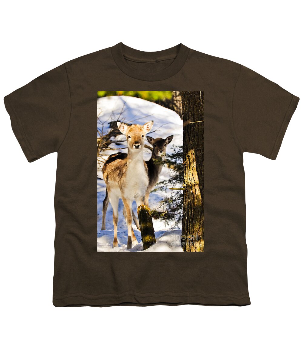 Fallow Deer Youth T-Shirt featuring the photograph Fallow Deer by Cheryl Baxter