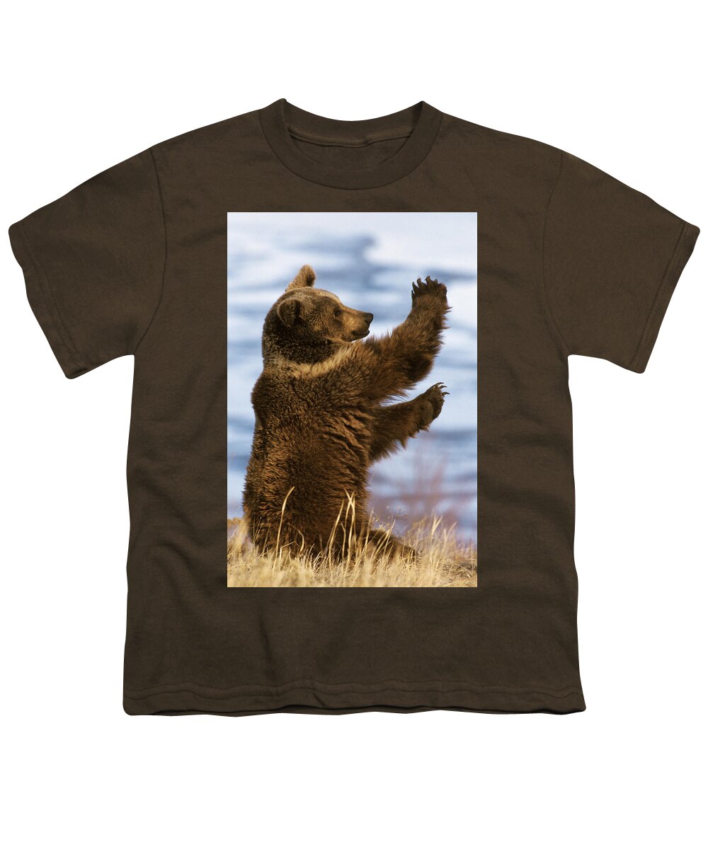 Mp Youth T-Shirt featuring the photograph Grizzly Bear Ursus Arctos Horribilis by Konrad Wothe