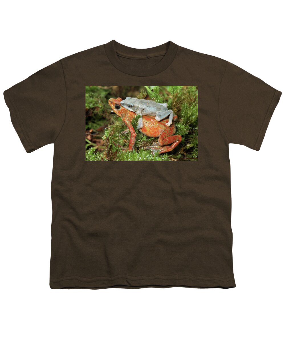 Mp Youth T-Shirt featuring the photograph Harlequin Frog Atelopus Varius Pair by Michael & Patricia Fogden