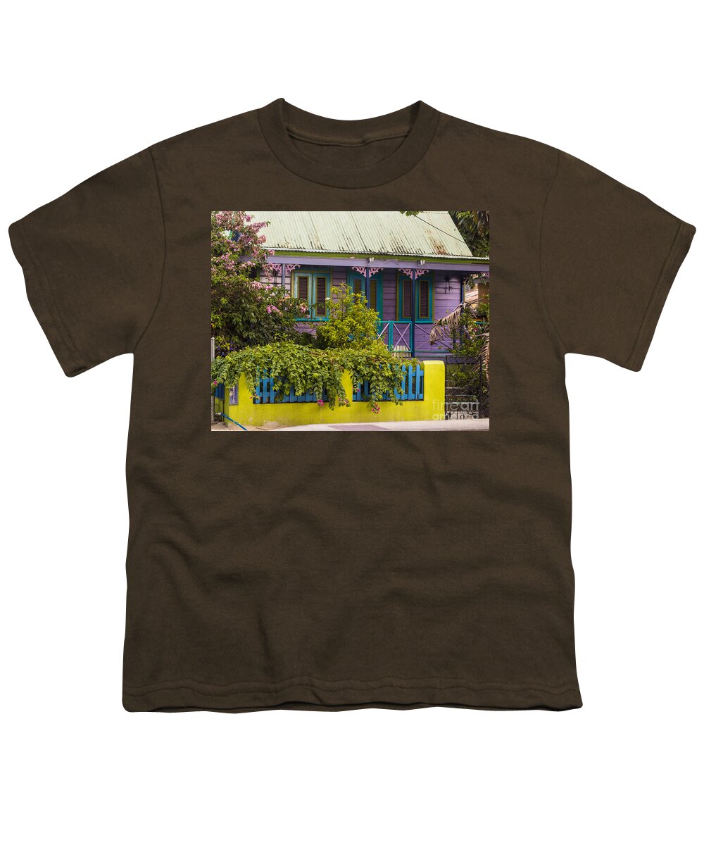 Bvi Youth T-Shirt featuring the photograph House of Colors by Rene Triay FineArt Photos