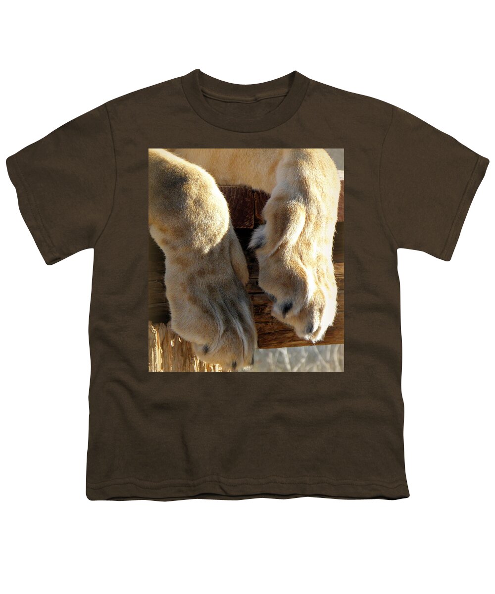 Lion Youth T-Shirt featuring the photograph Kitty Paws by Kim Galluzzo