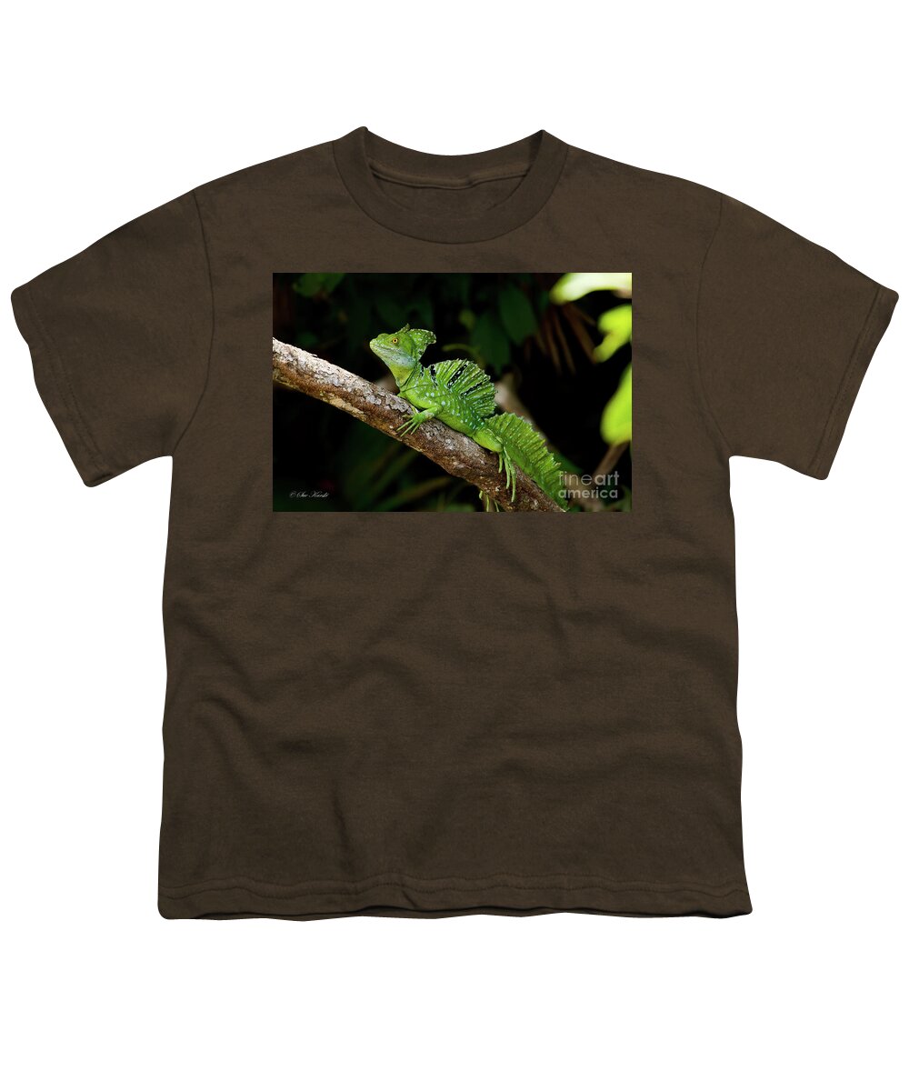 Costa Rica Youth T-Shirt featuring the photograph Lizard on a Stick by Sue Karski