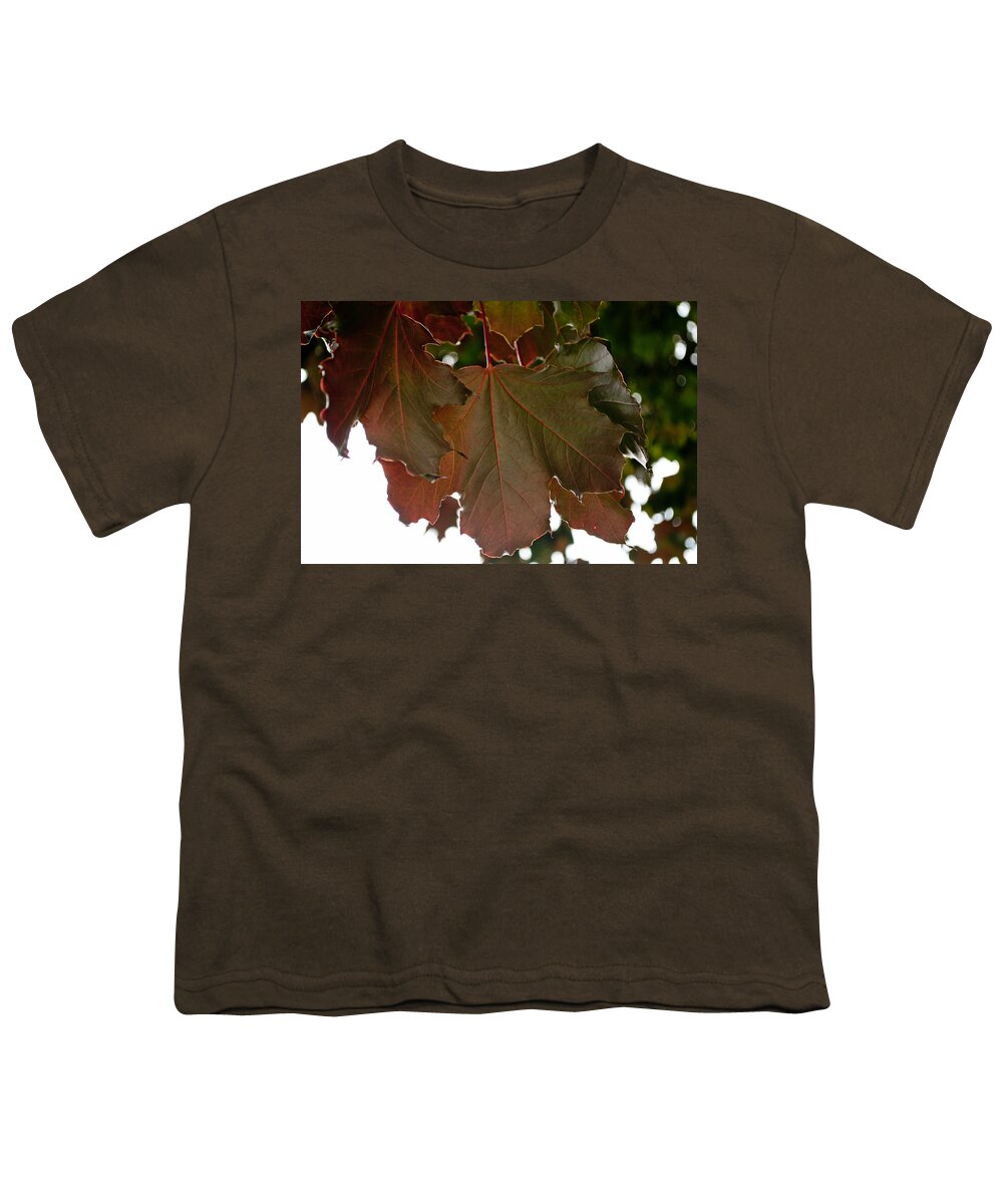 Maple Tree Youth T-Shirt featuring the photograph Maple 2 by Tikvah's Hope