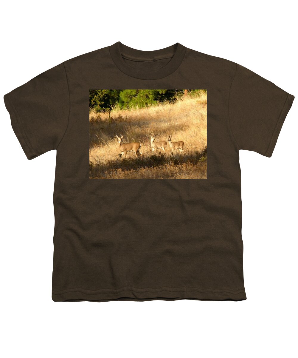 Deer Youth T-Shirt featuring the photograph Mother And Twins by Will Borden