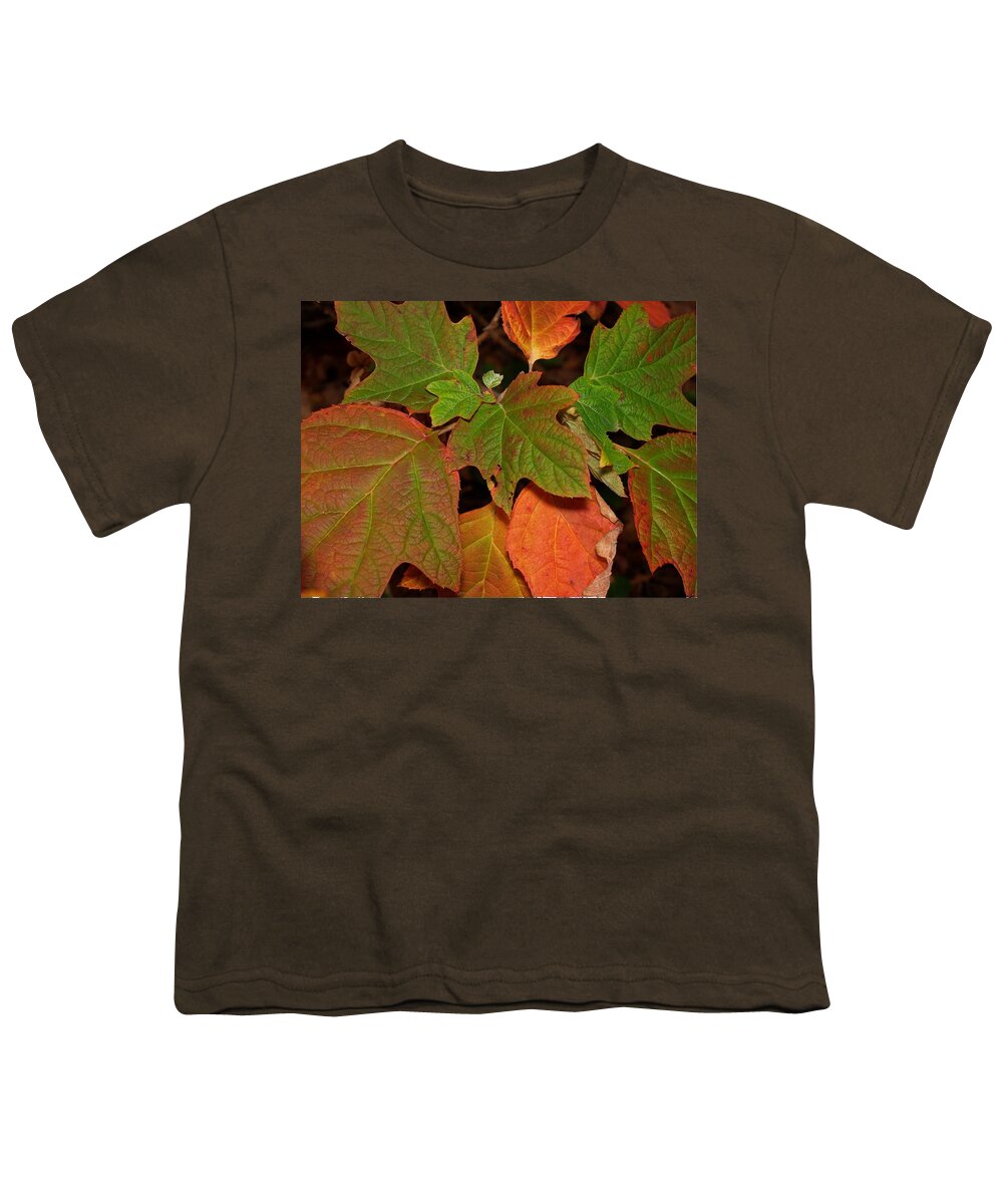 Autumn Youth T-Shirt featuring the photograph Oakleaf Hydrangea-1 by Charles Hite