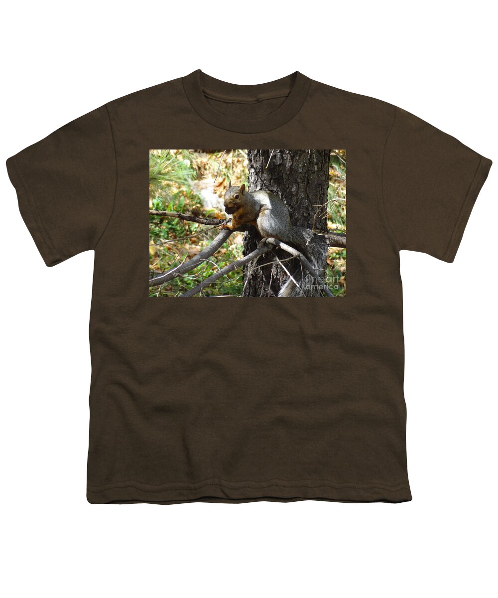 Squirrel Youth T-Shirt featuring the photograph Squirrling Away by Laurel Best