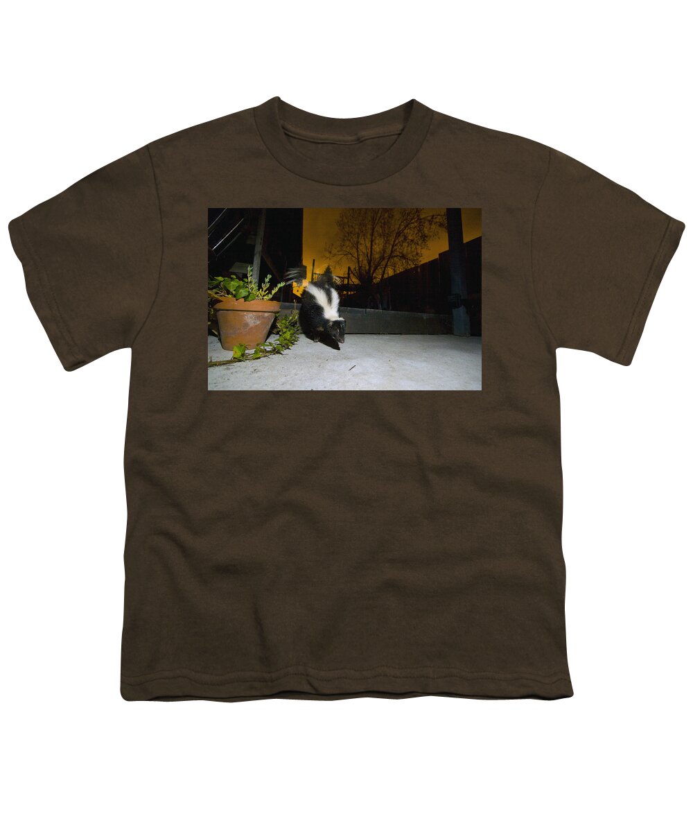 00442994 Youth T-Shirt featuring the photograph Striped Skunk In Backyard At Night by Sebastian Kennerknecht