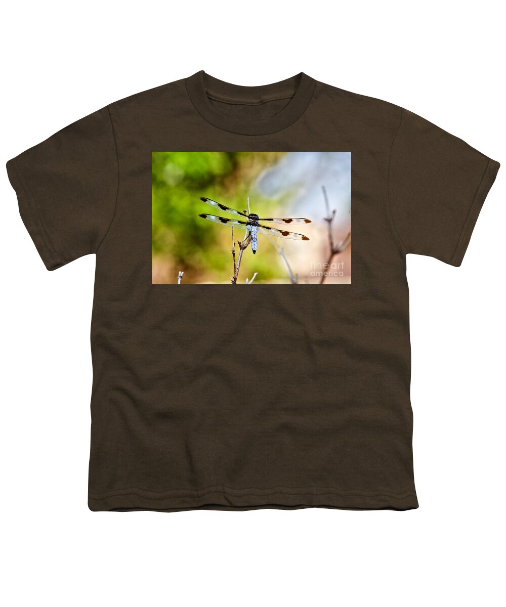 Twelve Spot Skimmer Dragonfly Youth T-Shirt featuring the photograph Twelve-spotted Skimmer Dragonfly 4 by Betty LaRue