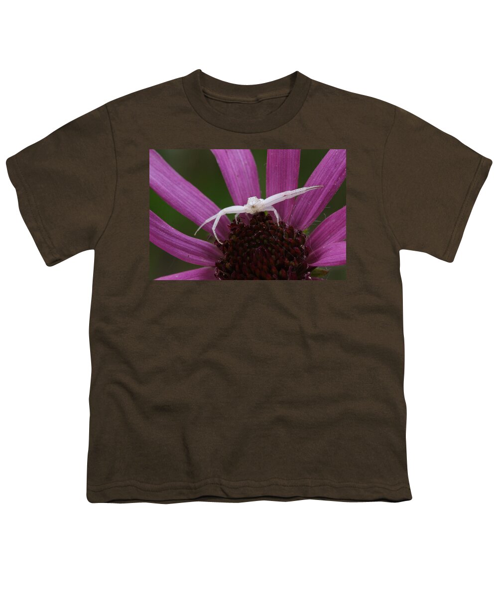 Whitebanded Crab Spider Youth T-Shirt featuring the photograph Whitebanded Crab Spider On Tennessee Coneflower by Daniel Reed