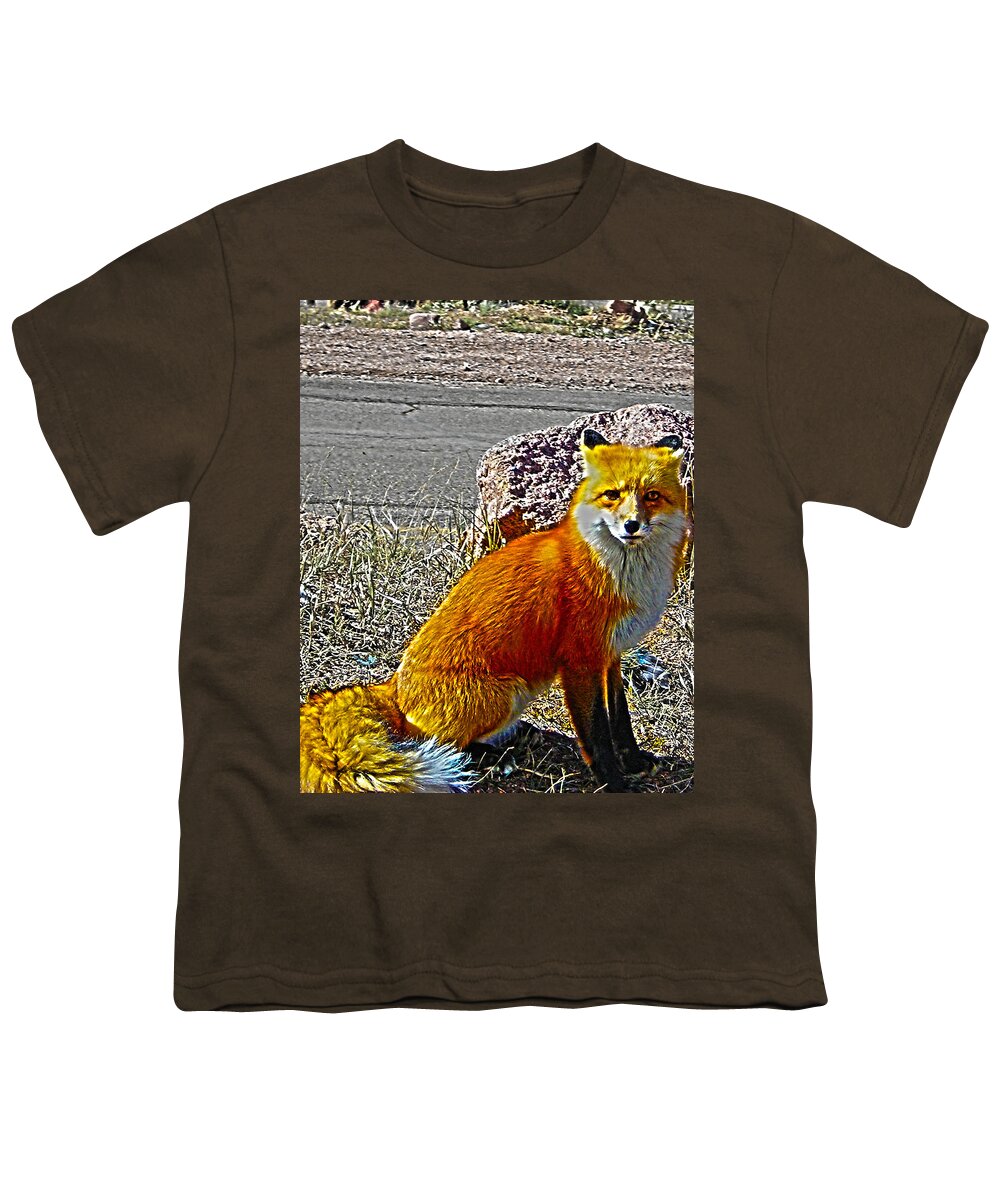 Fox Youth T-Shirt featuring the photograph Wilbur by Shannon Harrington