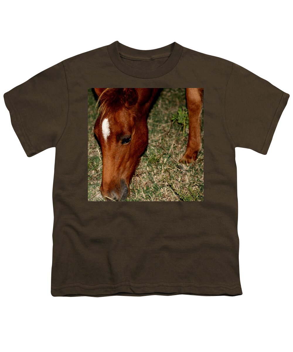 Wild Spanish Mustang Youth T-Shirt featuring the photograph Wild Filly Grazing at Night by Kim Galluzzo